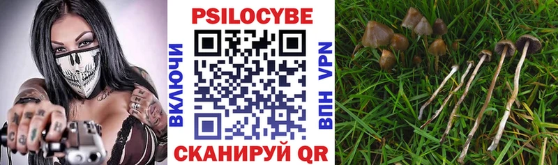 нарко площадка официальный сайт MEGA маркетплейс Находка Галлюциногенные грибы MAGIC MUSHROOMS
